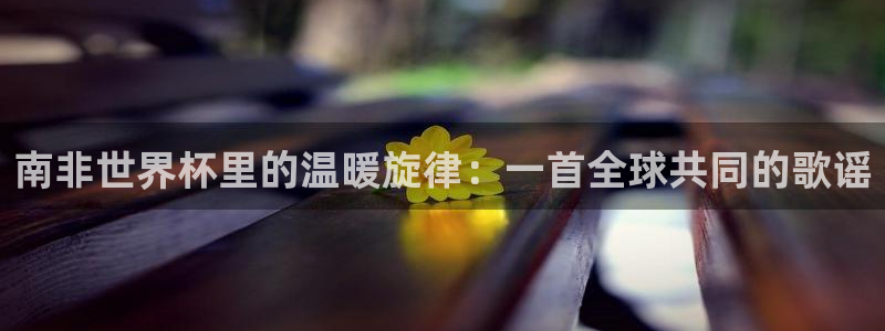 2026世界杯赛程表完整版：南非世界杯里的温暖旋律：一首全球共同的歌谣