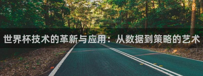 世界杯 直播：世界杯技术的革新与应用：从数据到策略的艺术