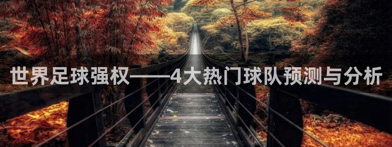 世界杯足球赛：世界足球强权——4大热门球队预测与分析