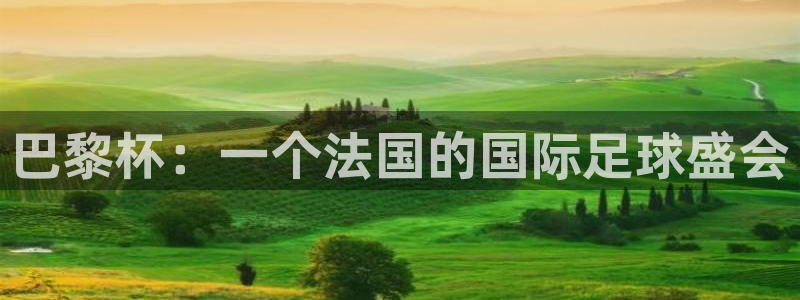 足球世界杯：巴黎杯：一个法国的国际足球盛会