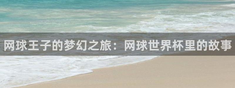 2026世界杯赛程：网球王子的梦幻之旅：网球世界杯里的故事