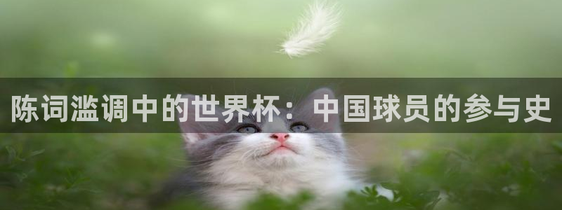 2026世界杯：陈词滥调中的世界杯：中国球员的参与史