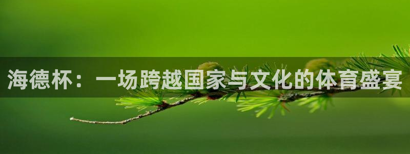 免费足球比赛直播高清：海德杯：一场跨越国家与文化的体育盛宴