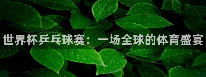 世界杯今日赛程直播：世界杯乒乓球赛：一场全球的体育盛宴