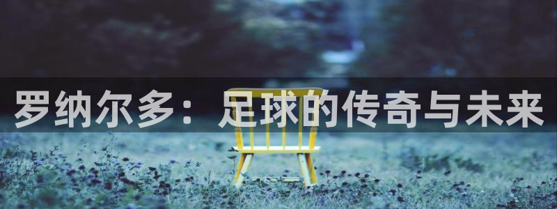 世界杯对阵图2026：罗纳尔多：足球的传奇与未来