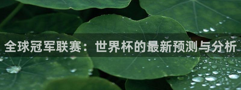 亚洲杯足球：全球冠军联赛：世界杯的最新预测与分析