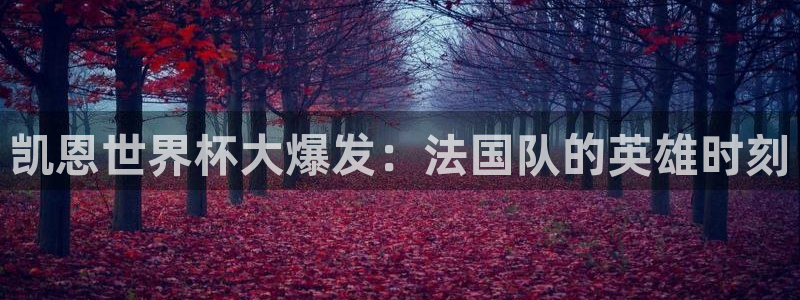 2026世预赛赛程：凯恩世界杯大爆发：法国队的英雄时刻