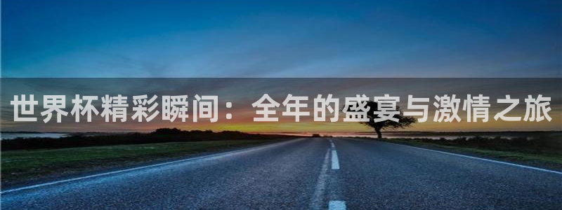 欧洲世界杯预选赛：世界杯精彩瞬间：全年的盛宴与激情之旅