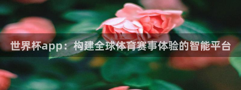 世界杯2026赛程：世界杯app：构建全球体育赛事体验的智能平台
