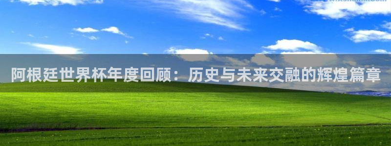 2026年世界杯赛程：阿根廷世界杯年度回顾：历史与未来交融的辉煌篇章